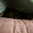 crownofstardustandbone avatar