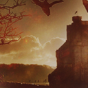 crows-are-all-liars-blog avatar