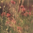 cruisingwithgunhead avatar