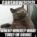 cruisininthehills avatar