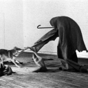 crumpled-annoyance avatar