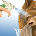 crunchyplastic avatar