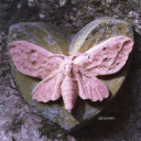 crybabylovesstuff avatar