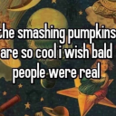 cryptic-chameleon avatar