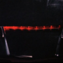 cryptid-punks avatar