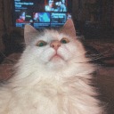 crystalizedbloodstains avatar