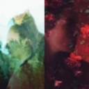 crystalizedyou avatar