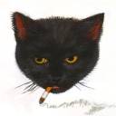 crystallcoffin avatar