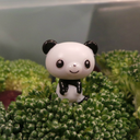 cucumberstars avatar