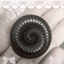 cultcuddleclem avatar