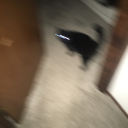 cultureosmosisenjoyer avatar