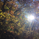 cum-for-me-daddy69 avatar