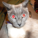 cupcakesnwhiskey avatar