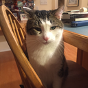 curatedbumblr avatar