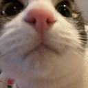 curent-obsession avatar