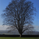 curi0userandcuri0user avatar