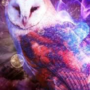 curiouslyqueerowl avatar