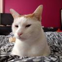 curls-and-books avatar