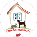 cuteanimalshare avatar