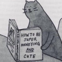 cuteasstrophe avatar