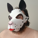 cutecreature69 avatar