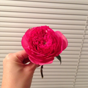 cutemagicbottom avatar