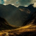 cutepalefeelings avatar