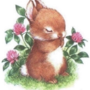 cutesoftangel avatar