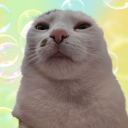 cutest-goblin avatar