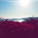 cuzzzzlightyr avatar