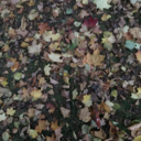 cxffeeandwxter avatar