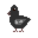 cy-bird avatar