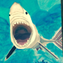 cyanideconniption avatar