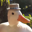 cyaniderainfall avatar