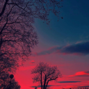 cyborgbiscuit avatar