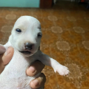 cyborgnoodle7297 avatar