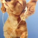 d3lusi0n4llife avatar