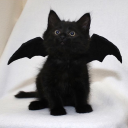 dadaslittlebat avatar