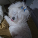 daddyafterdarksblog avatar