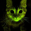 daddysradioactivekitten avatar