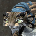 daekie-gw2 avatar