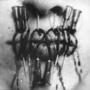 dagehtdochnochwas avatar