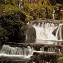 daieuxetdailleurs avatar