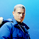 dailycaptaincold avatar