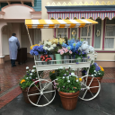 dailydisneydreaming avatar