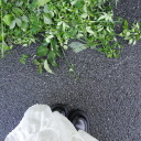 dailydoseofsun avatar