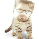 dailygorftillhl3 avatar