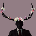 dailyhannigram avatar