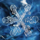 daintywintersnowflake avatar