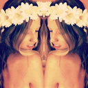 daisyfaeries-blog avatar